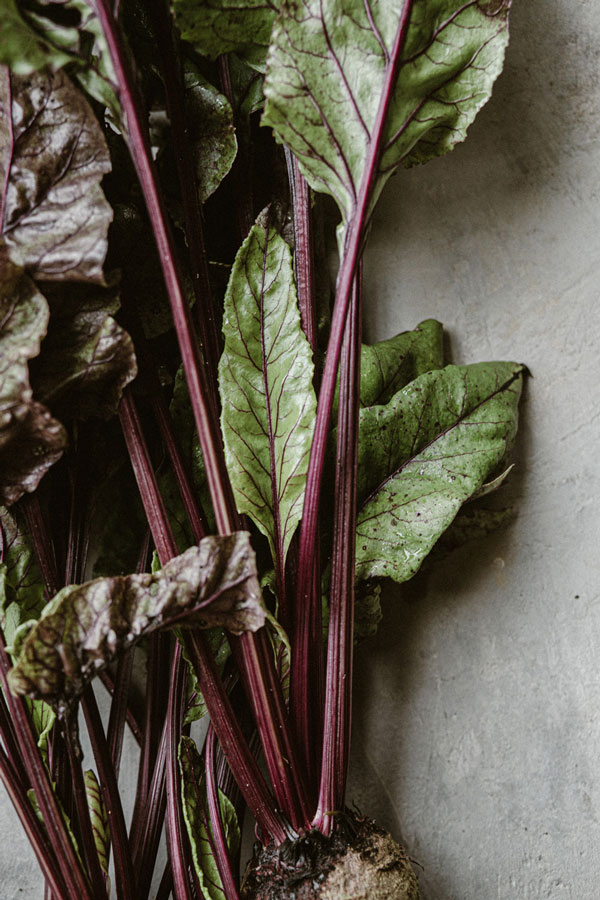 farmers-lunch-club-beetroot