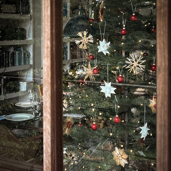 Tree 2